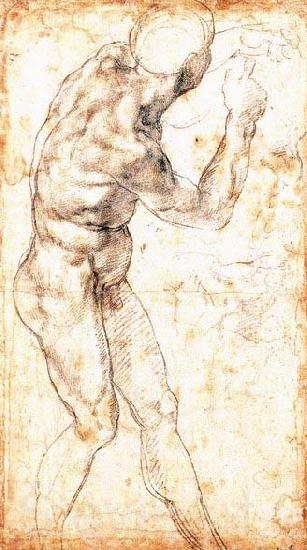 Michelangelo Buonarroti Male Nude